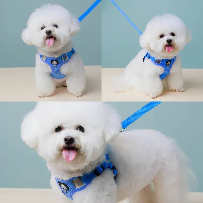 Petify Postroj pro psa s vodítkem Zoomie modrý Velikost: XL