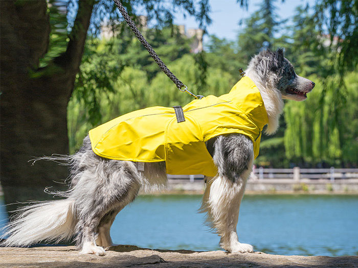 Petify Pláštěnka pro psa Drizzly žlutá Velikost: 40