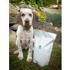 BOHEMIA WILD Puppy Lamb 2 kg