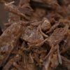 bpf beef chuck tender