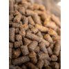 BOHEMIA COLD Puppy Lamb 10 kg