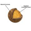 glazed granule