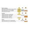 abc 2