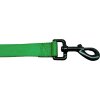 Vodítko pro psa Chase zelené | 120 cm karabina