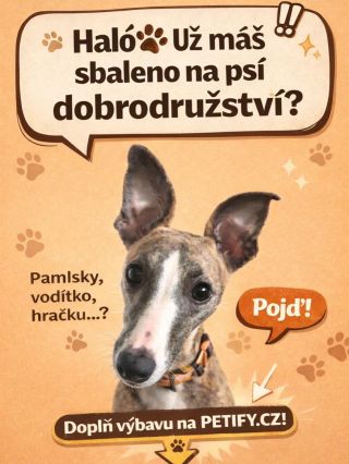 🐾 Máš sbaleno na psí dobrodružství? Obojek, vodítko, hračku… a jde se! Doplň výbavu na 👉 www.petify.cz