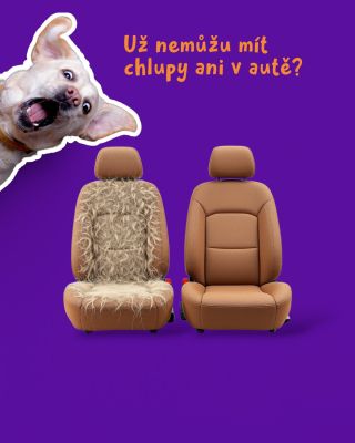 🐾 “Už nemůžu mít chlupy ani v autě?!” 🐾 Ano, kámo, je to tak! 😲 S PETiGO už žádné chlupy na sedačkách, v autě ani na...
