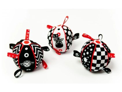 Snímek obrazovky 12 9 2024 13517 www.cernanabile.cz