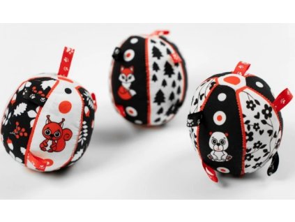 Snímek obrazovky 12 9 2024 14043 www.cernanabile.cz