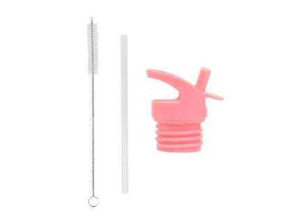 dbssre65 lr 1 lid straw and brush set ice cream