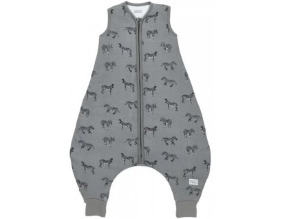 Snímek obrazovky 2025 09 25 115935