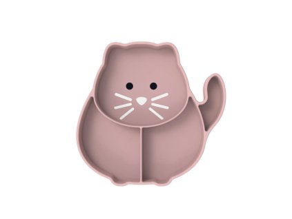 Snímek obrazovky 2026 01 08 093331