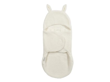 Snímek obrazovky 2026 01 12 104554