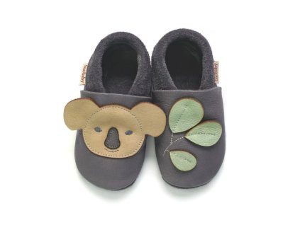 Snímek obrazovky 2026 01 21 170729