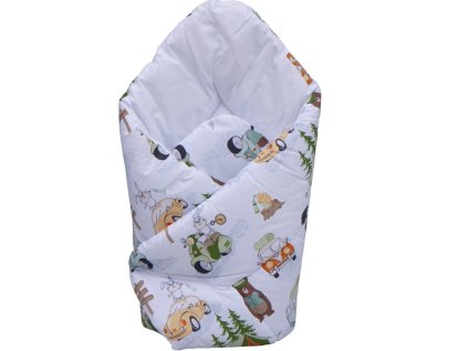 Snímek obrazovky 2026 01 26 114225