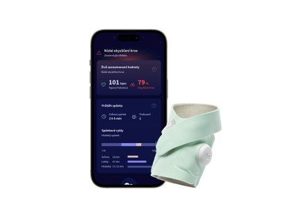 Owlet Dream Sock - Original Mint