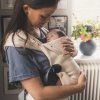 BeSafe Newborn Haven anthracite forest