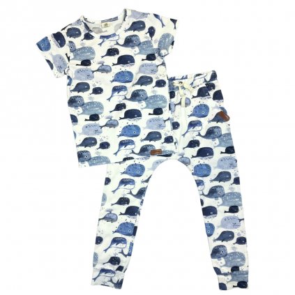 Walkiddy Baby Whales set