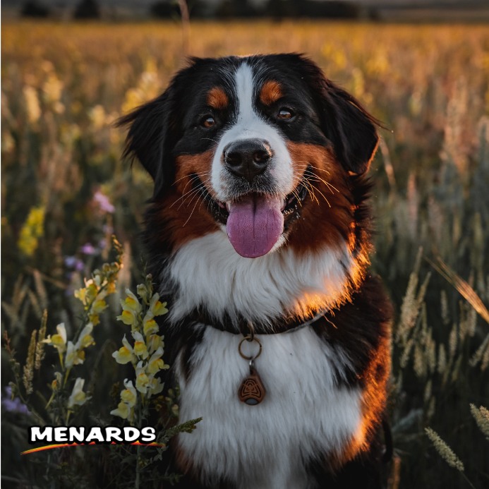 TICKLESS – ochrana bez chemie, bez kompromisů