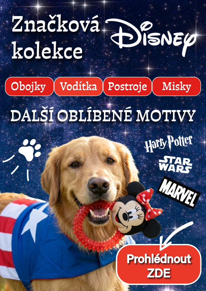 Disney produkty