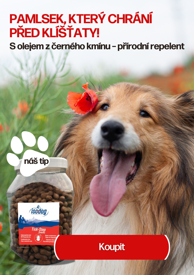 pamlsky_proti_klistatum