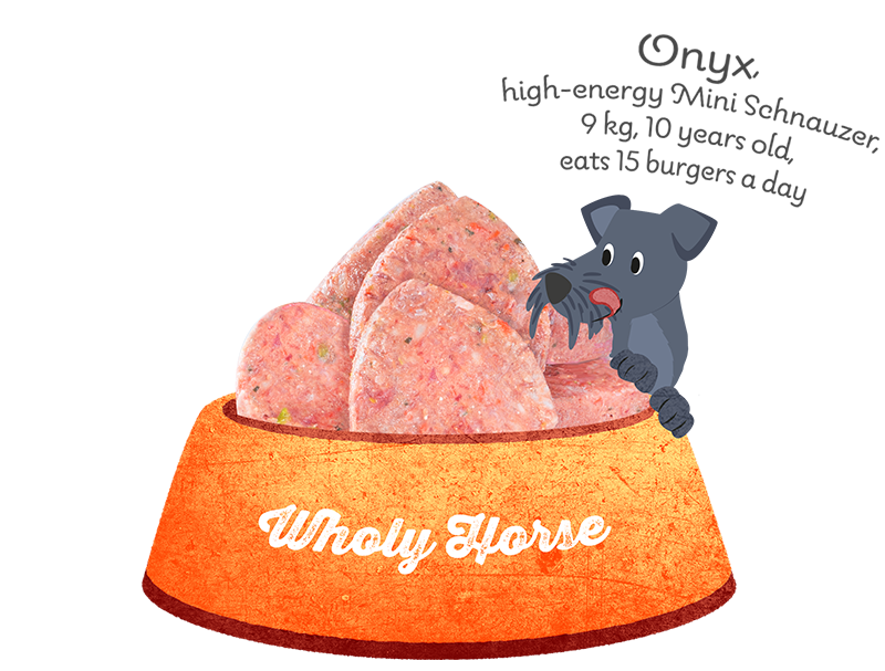 bowl-wholy-horse