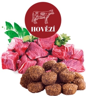 hovězi