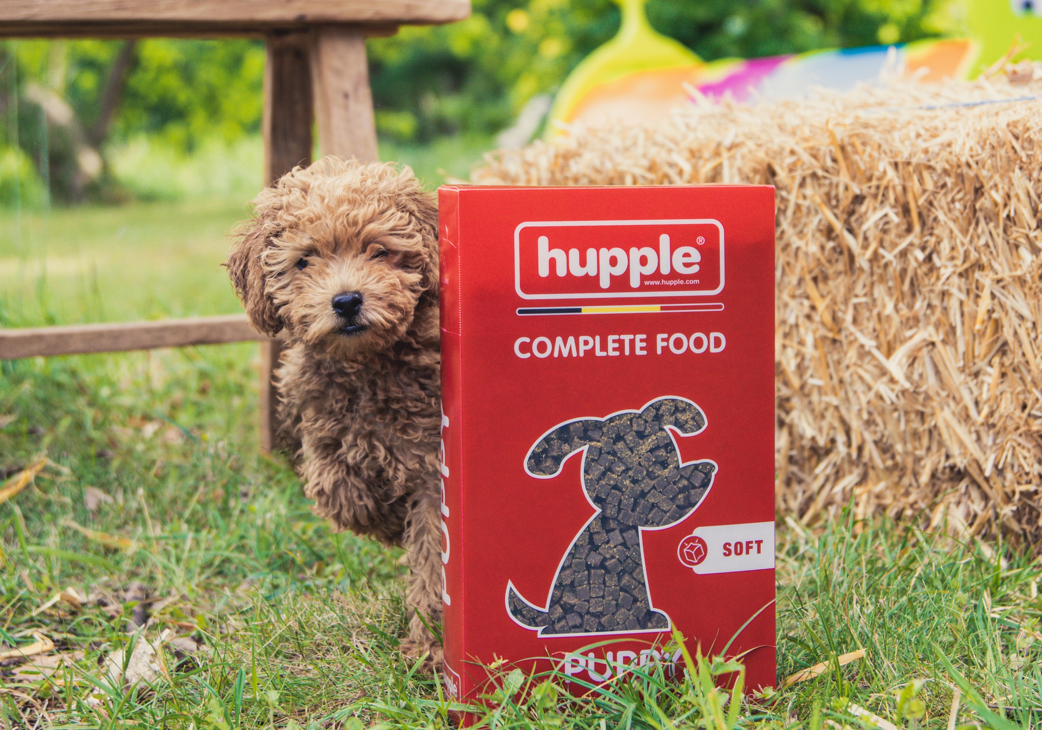 hupple5