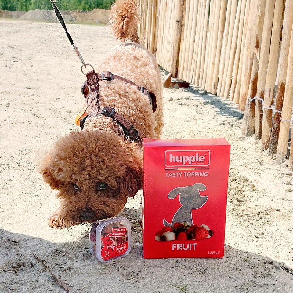 hupple7