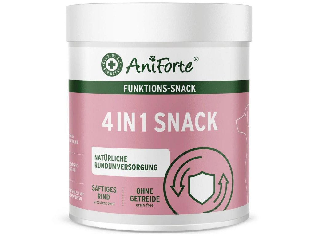 snack4v1