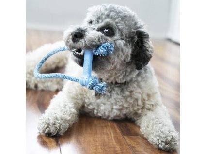 kong bone