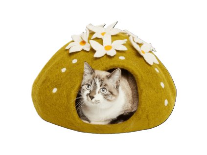 2661 dharma dog karma cat pelisek kaktus