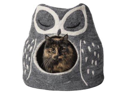 2664 dharma dog karma cat pelisek sova