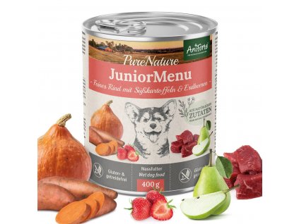 junior aniforte.2