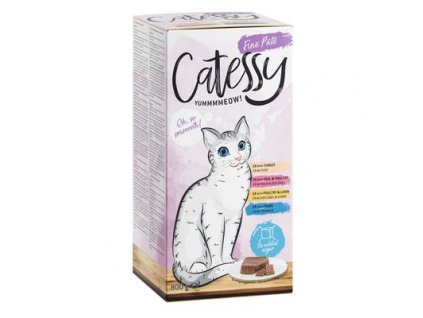 catessy.jpg1