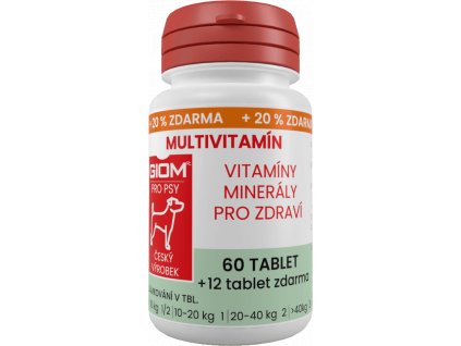 GIOM MULTIVITAMÍN 60 tablet + 25 % zdarma