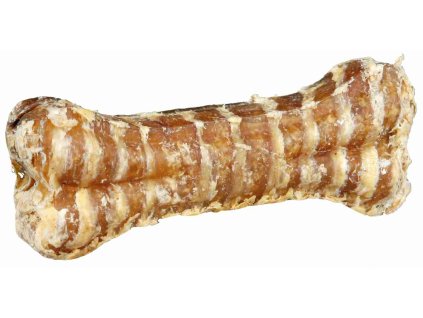 kost prudušnice