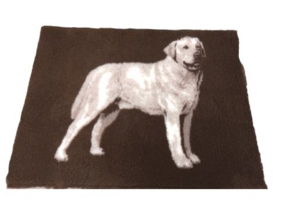 labrador