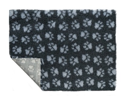 C Charcoal with Grey Paw