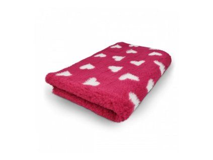 fuchsiová bílé srdce