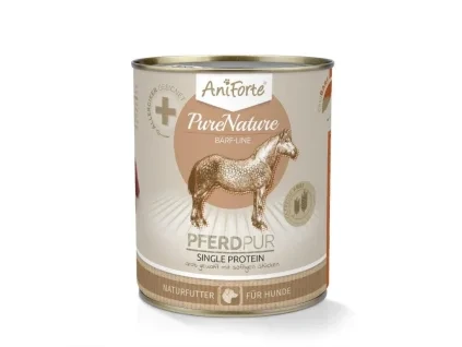 aniforte kůň