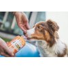 1481 7 pharma pet multivitamin