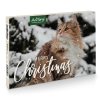 adventskalender 2023 fur katzen 170497 1