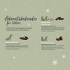 adventskalender 2023 fur katzen 501245