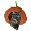 2670 dharma dog karma cat pelisek dyne