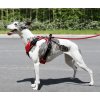 2994 1 jack and vanilla expedition harness postroj cerveny m