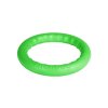 138571 1 hracka pitchdog guma treninkovy kruh zeleny l 28cm