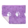 C Purple with White Large Paw