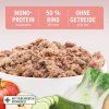 aniforte senior menu beef.1