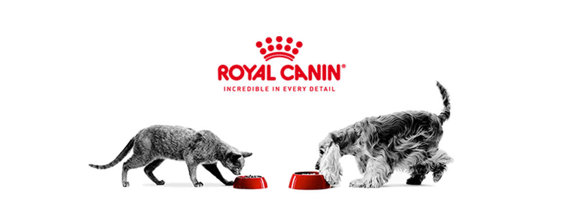 Royal-Canine-header