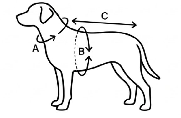 Schéma měření psa – obvod krku (A), obvod hrudníku (B) a délka zad (C)